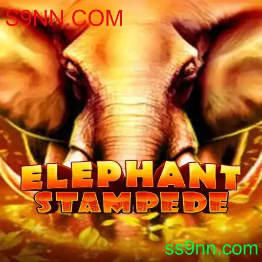 ElephantStampede: Um Guia Completo para o Entusiasmante Mundo do Jogo